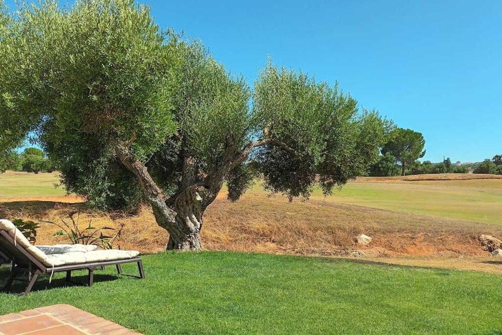 Casa Los Olivos Arcos de la Frontera Exteriér fotografie
