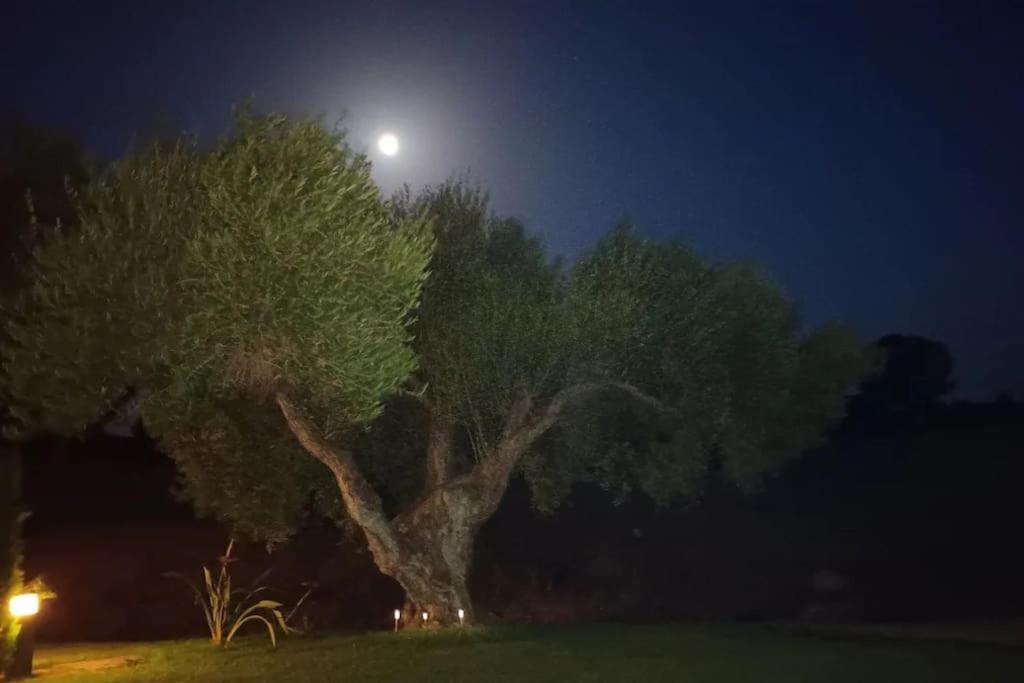 Casa Los Olivos Arcos de la Frontera Exteriér fotografie