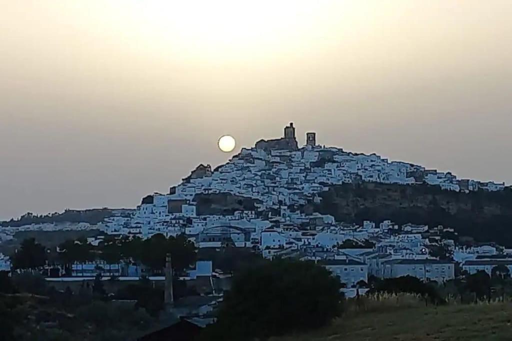 Casa Los Olivos Arcos de la Frontera Exteriér fotografie